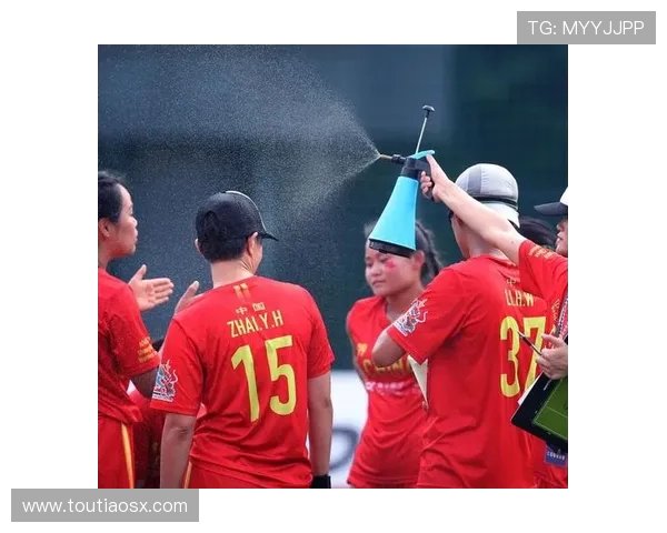 北京飞盘队节奏对比独家解析与战术深度剖析