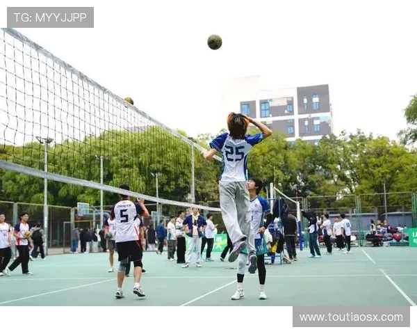 杭州排球队在世界杯中的默契配合展现团队精神与竞技实力