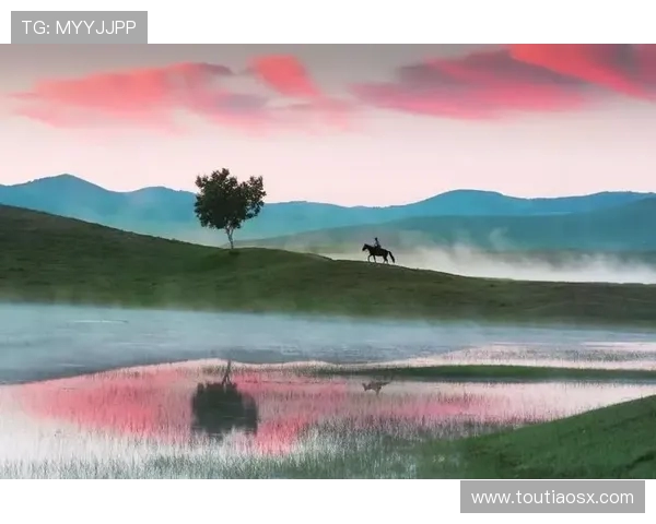 飞盘之路：王伟如何在深度对话中探索人生的无限可能