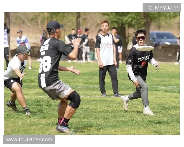 飞盘配合实力大比拼北京飞盘队荣登全国第九名之榜