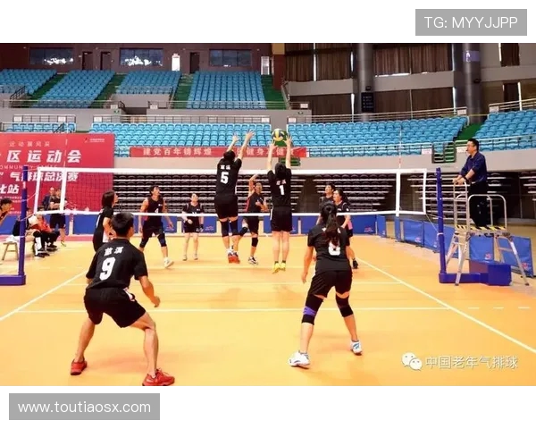 上海排球队进攻策略解析深度剖析排球战术与团队协作技巧