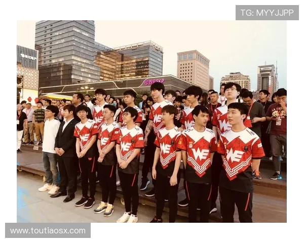 城市赛积分榜最新动态WE战队以80分稳居第一名